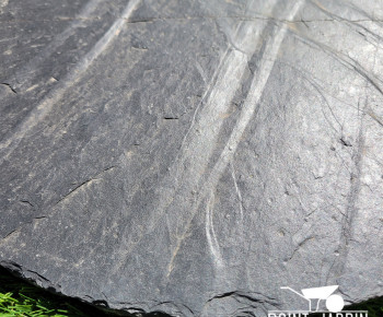Pas Japonais Rond en Ardoise Naturelle  pour Chemins Décoratifs