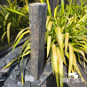 Piquet en Schiste Naturel et Brut de 1m ou 2m pour Décoration de Jardin