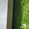 Dalle Ardoise Verte avec Aspect Vieilli idéal Petit Soutènement Jardin